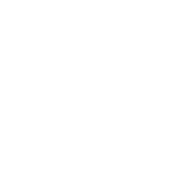 Footer IG Logo